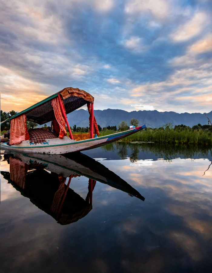 Kashmir